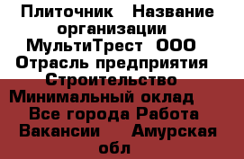 Плиточник › Название организации ­ МультиТрест, ООО › Отрасль предприятия ­ Строительство › Минимальный оклад ­ 1 - Все города Работа » Вакансии   . Амурская обл.